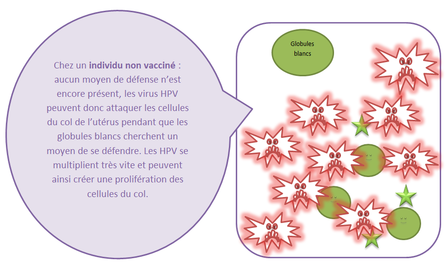 humán papillomavírus hpv immunizálás